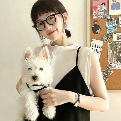 石头会说话