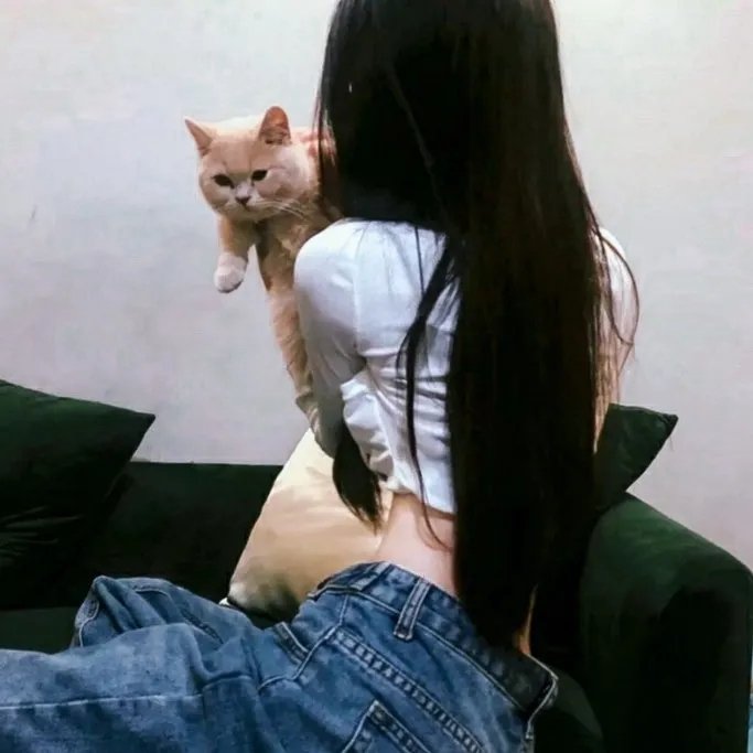 婚姻乏术粤语
